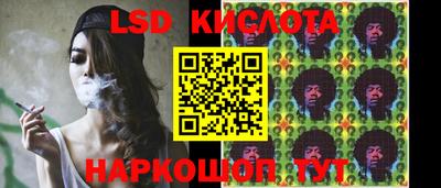 стафф Кандалакша