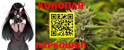 стафф Кандалакша