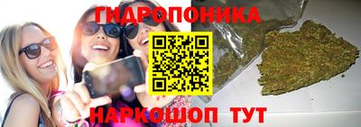 стафф Кандалакша