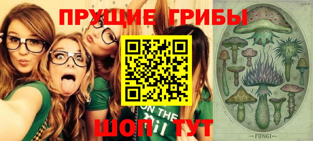 Галлюциногенные грибы Magic Shrooms Элиста