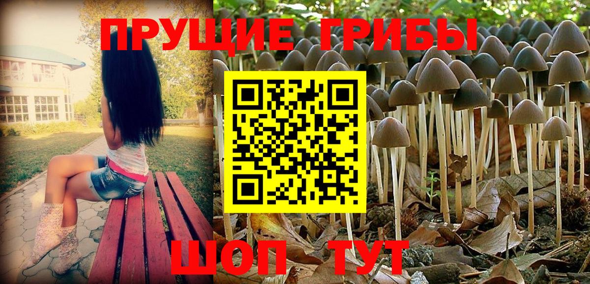 где купить наркоту  Вход с VPN  Галлюциногенные грибы Psilocybe  Элиста  Галлюциногенные грибы мицелий 